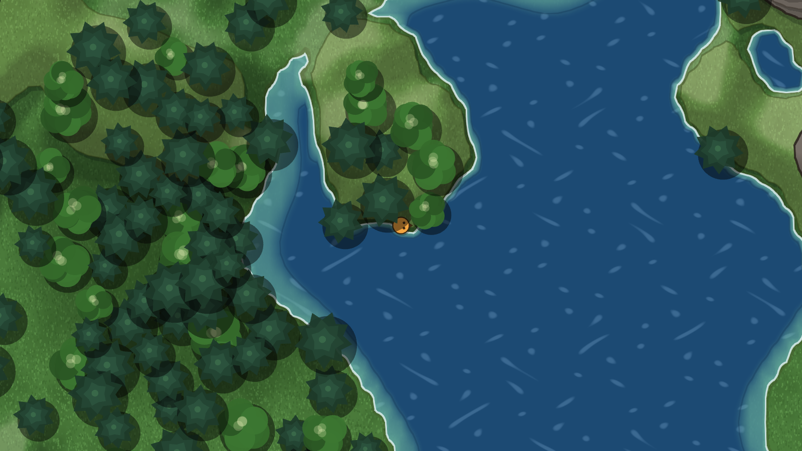 Green summer forest